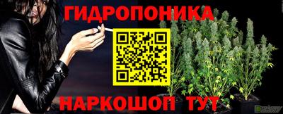 ПСИЛОЦИБИНОВЫЕ ГРИБЫ Аргун